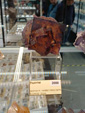 54º Torino EUROMINERALEXPO.