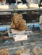 54º Torino EUROMINERALEXPO.