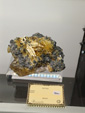54º Torino EUROMINERALEXPO.
