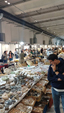 55º Torino Euromineral Expo