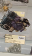55º Torino Euromineral Expo