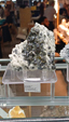 55º Torino Euromineral Expo