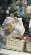 55º Torino Euromineral Expo