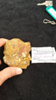 55º Torino Euromineral Expo