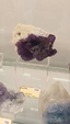 55º Torino Euromineral Expo
