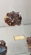 55º Torino Euromineral Expo