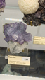 55º Torino Euromineral Expo