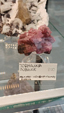 55º Torino Euromineral Expo