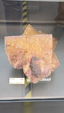 55º Torino Euromineral Expo