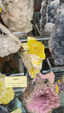 55º Torino Euromineral Expo