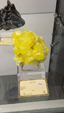 55º Torino Euromineral Expo