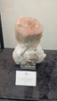 55º Torino Euromineral Expo