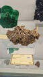  55º Torino Euromineral Expo
