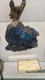 55º Torino Euromineral Expo