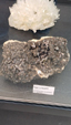  55º Torino Euromineral Expo