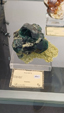 55º Torino Euromineral Expo