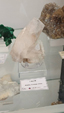  55º Torino Euromineral Expo