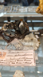  55º Torino Euromineral Expo
