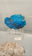  55º Torino Euromineral Expo