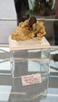  55º Torino Euromineral Expo