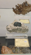 55º Torino Euromineral Expo
