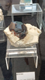 55º Torino Euromineral Expo