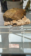 55º Torino Euromineral Expo