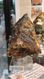 55º Torino Euromineral Expo