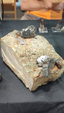 55º Torino Euromineral Expo