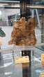 55º Torino Euromineral Expo