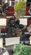 55º Torino Euromineral Expo