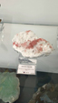 55º Torino Euromineral Expo