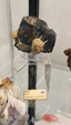 55º Torino Euromineral Expo