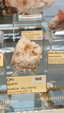 55º Torino Euromineral Expo