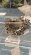 55º Torino Euromineral Expo