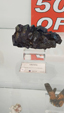 55º Torino Euromineral Expo