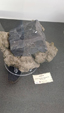 55º Torino Euromineral Expo