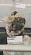 55º Torino Euromineral Expo