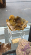 55º Torino Euromineral Expo