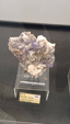 55º Torino Euromineral Expo