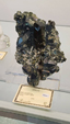 55º Torino Euromineral Expo