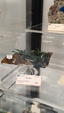 55º Torino Euromineral Expo