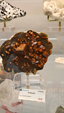 55º Torino Euromineral Expo