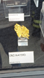 55º Torino Euromineral Expo