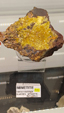 55º Torino Euromineral Expo