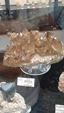 55º Torino Euromineral Expo
