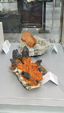 55º Torino Euromineral Expo