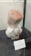 55º Torino Euromineral Expo