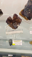 55º Torino Euromineral Expo