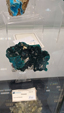 55º Torino Euromineral Expo